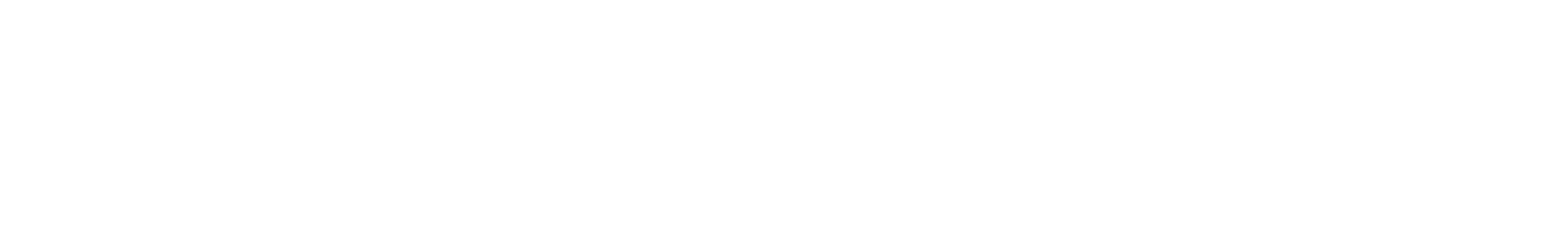 Water Street District Business Association
